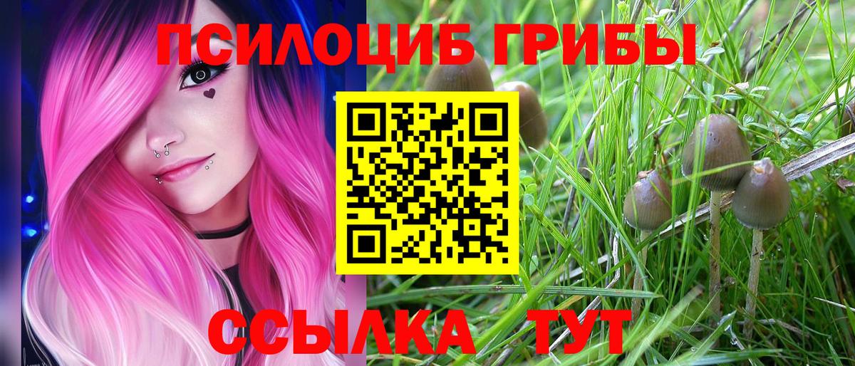 Калач-на-Дону  Галлюциногенные грибы Magic Shrooms  Галлюциногенные грибы GOLDEN TEACHER  Вход с VPN 